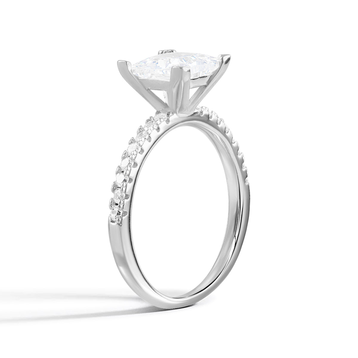 The Paulina Ring